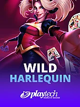 Wild Harlequin